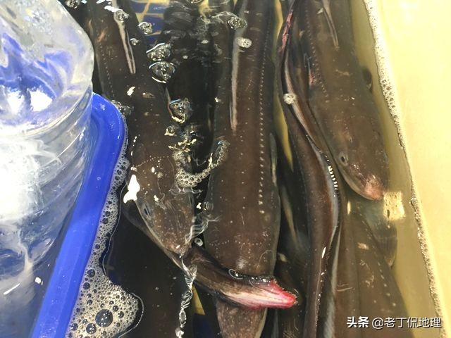 中国海鲜地图,中国海鲜最多地区