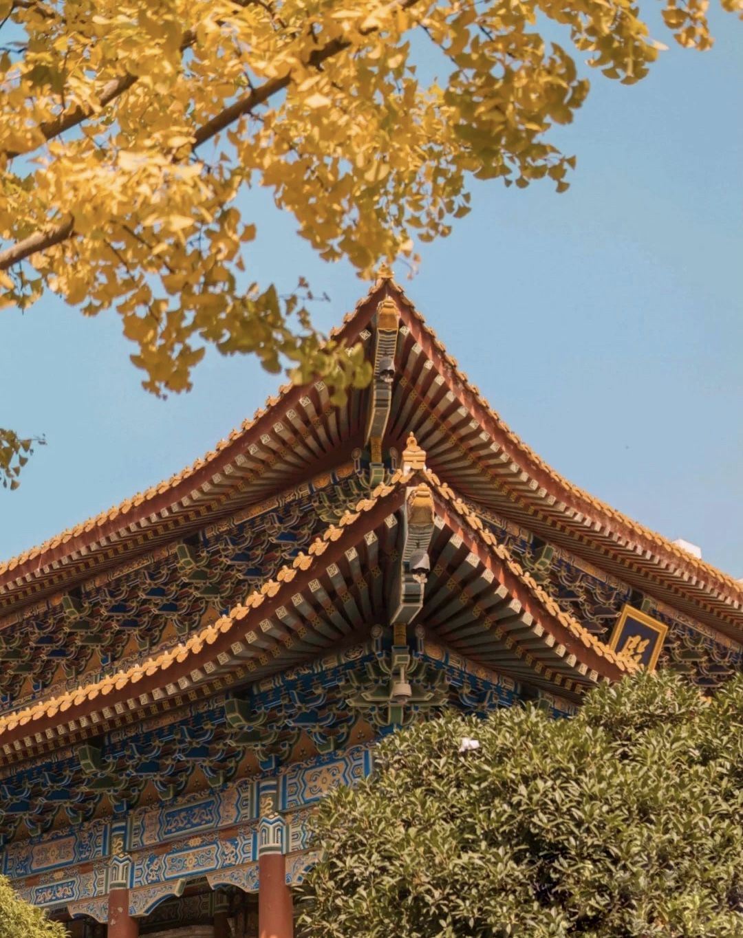 西安五天四夜旅游攻略大雁塔,西安白天适合去哪里玩大雁塔