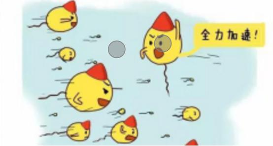 你了解人工授精吗,你了解你的卵泡吗