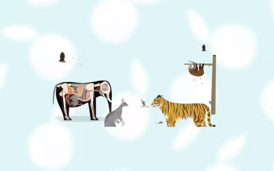 优质儿童教育app,优思教育培训推荐