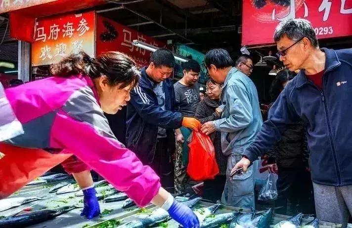 秦皇岛休渔期的海鲜哪里来,秦皇岛休渔期还可以出海吗