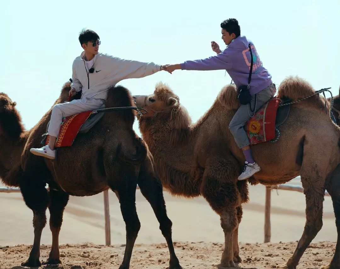 讲好黄河故事传承河洛文化,讲好黄河故事传承黄河文化内容