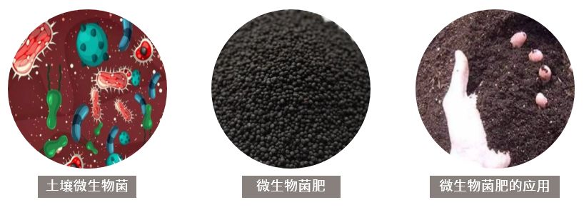 生物菌肥的最佳使用方法,生物菌肥的用途与病虫害的防治