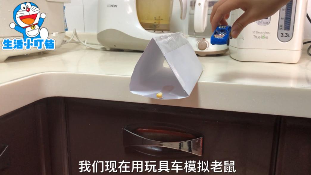 一招教你抓老鼠从此家中无鼠,家里有老鼠最好用什么方法抓老鼠