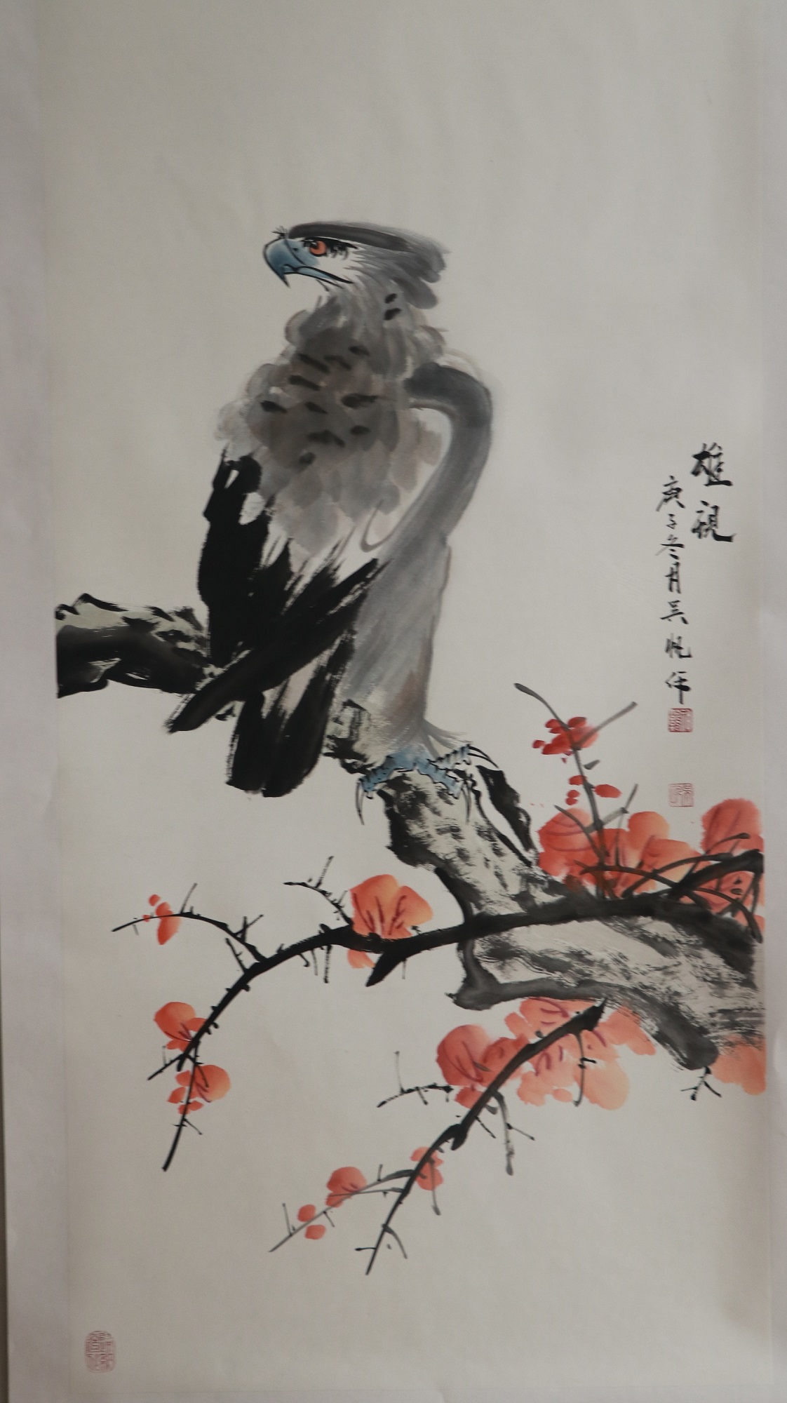 鹰为什么战斗力强,鹰为什么战斗力大