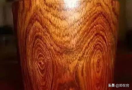 六种常用木材,常见的十种木材