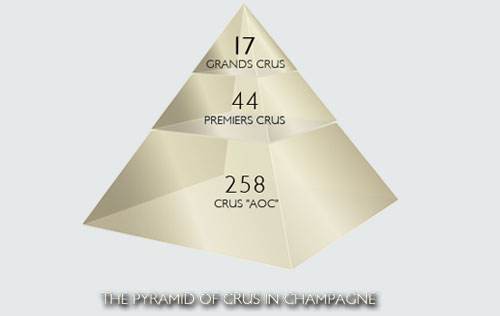 葡萄酒分级aop和aoc的区别,欧盟葡萄酒分级制度第一级别