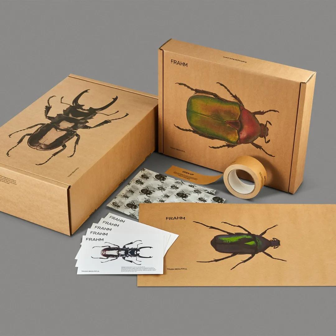 获得奥斯卡奖的中国作品,国际包装设计大奖