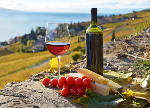 网上买葡萄酒怎么选择,网购怎么选葡萄酒好喝