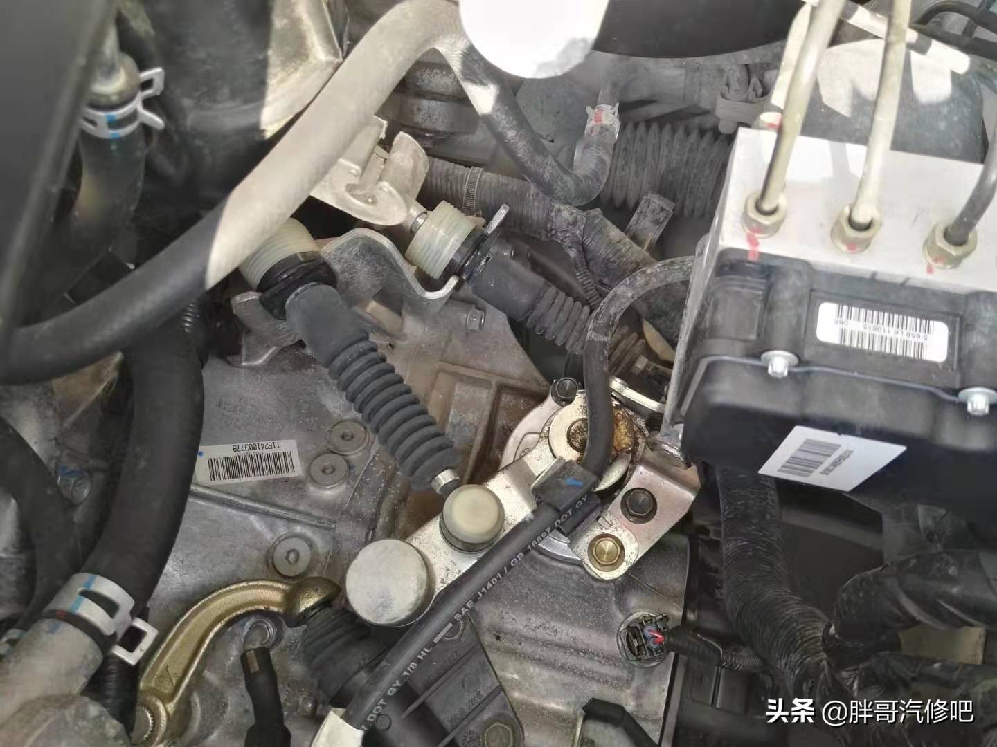 胖哥推荐一款商务车,胖哥试驾铃木维特拉