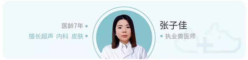 如何让狗狗健康快乐地度过冬天,宠物百科冬季狗狗保暖注意事项