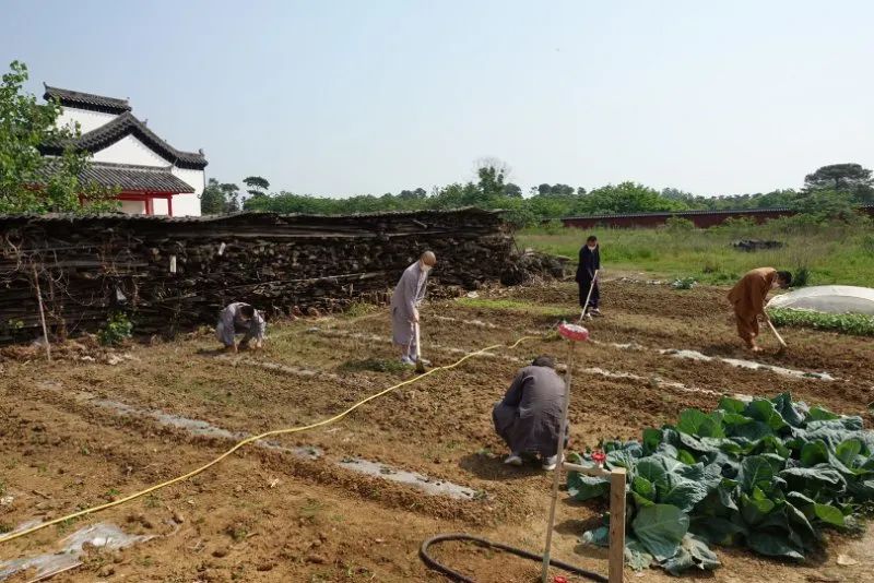 抢抓农时开展农业生产,农民纷纷抢抓春耕生产有利时机