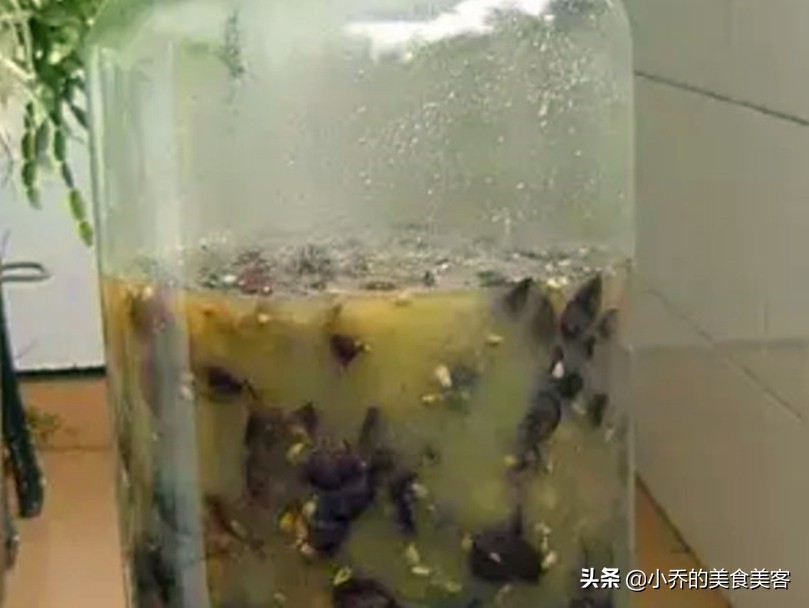 夏日自制葡萄酒怎么样喝,夏天酿葡萄酒的做法窍门