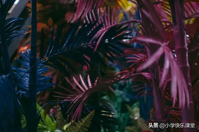 小学语文必备成语积累,1-6年级语文59类常用成语词汇总结