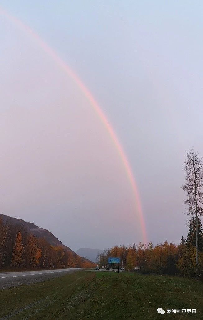 跟着老白行走加拿大，育空Watson Lake、BC省Northern Rockies