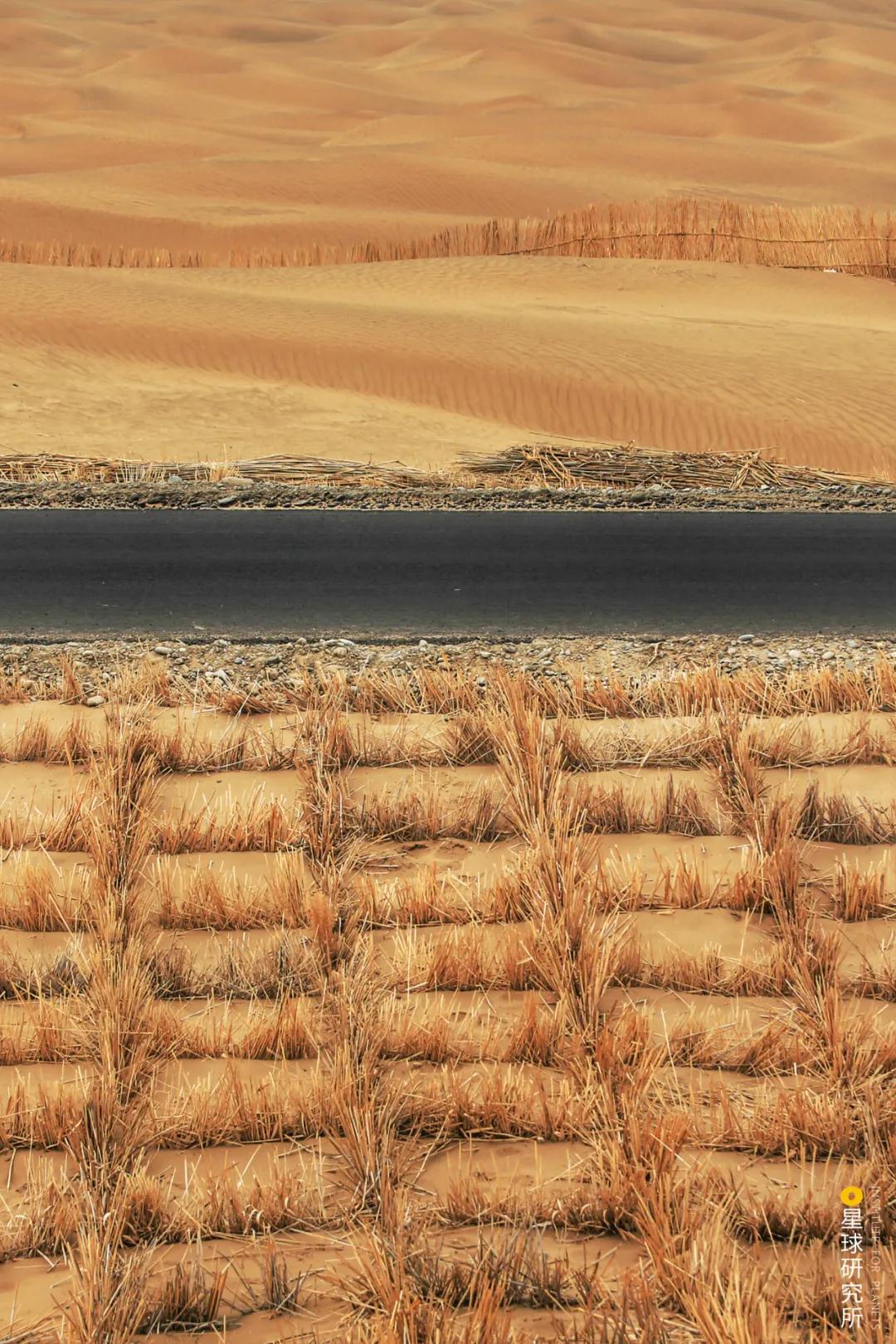 中国植树造林面积,中国植树造林成果国外有什么看法