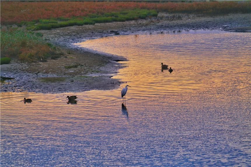 河北最宜居的城市有哪几个,河北最宜居的城市是哪个