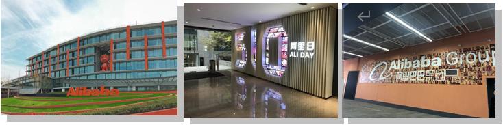 风口来了完整视频,风口来了完整版