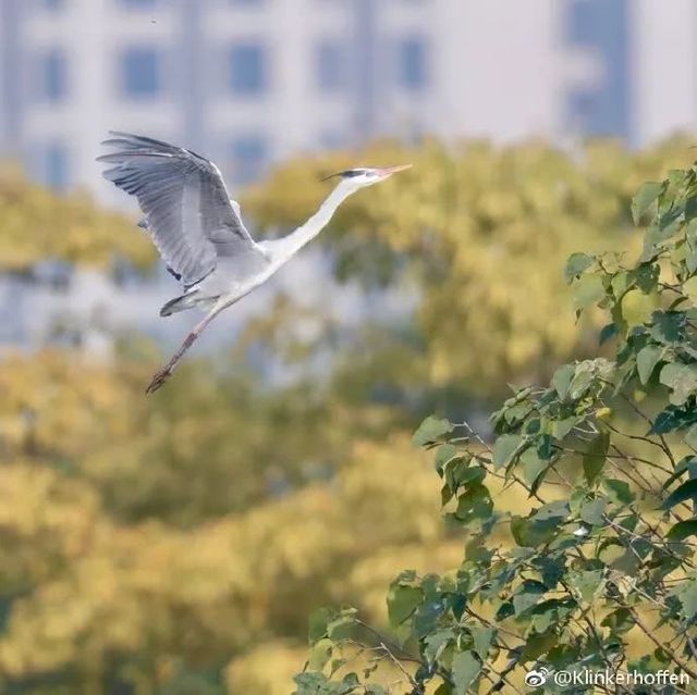 广州地铁直达的打卡地,广州地铁打卡好玩的地方