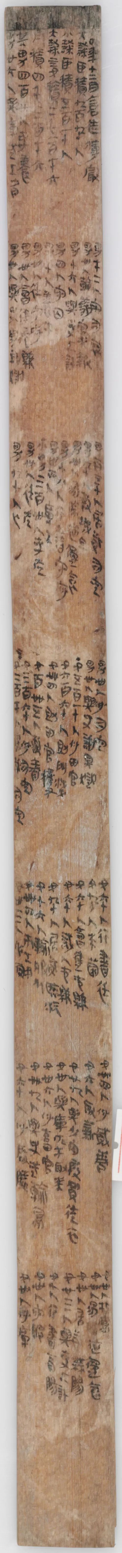 里耶秦简完整视频,里耶秦简