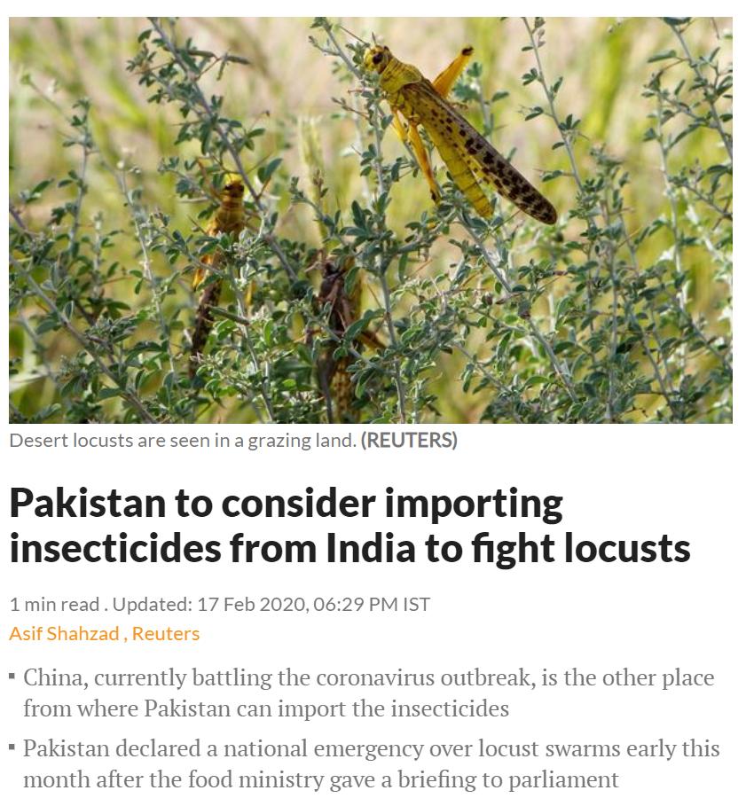 这次的蝗虫灾害为什么这么大,此次的蝗灾有多严重