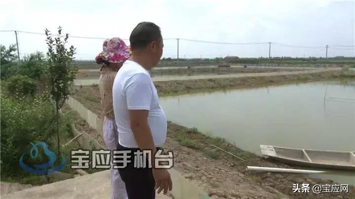 甲鱼养殖生态农场,甲鱼生态养殖视频大全