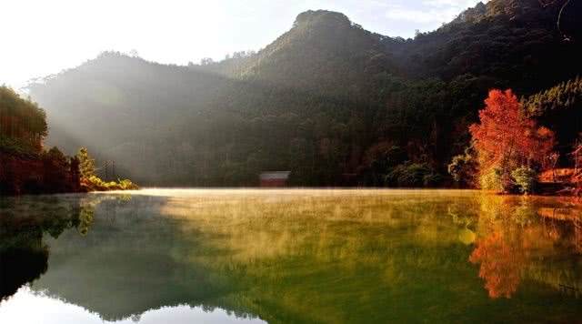 广东森林公园推荐,广东十大森林公园旅游景点