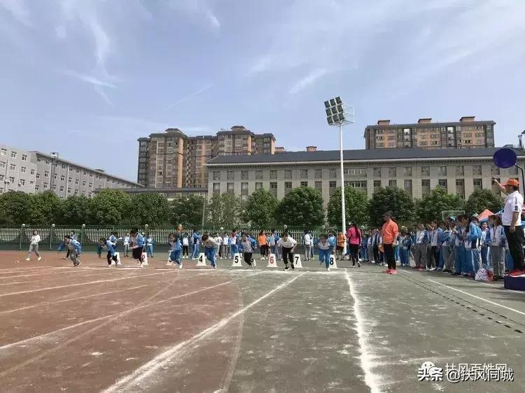 扶风小学运动会全部节目,扶风田径运动会