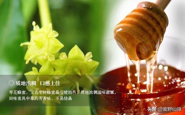 我喜欢的人物形象作文,我喜欢的季节作文