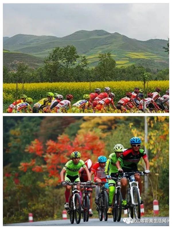 武山龙台油菜花节,湖口县武山油菜花节