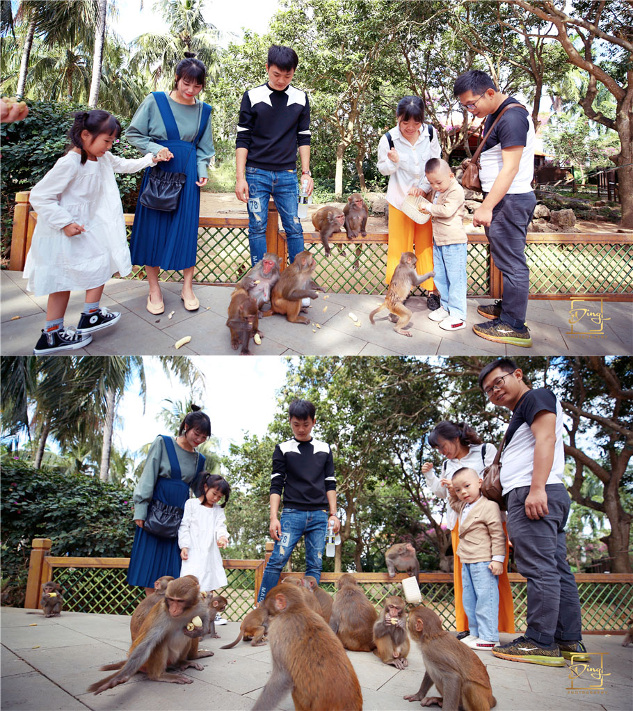 陵水猴岛与呆呆岛之旅,三亚猴岛呆呆岛有必要去吗