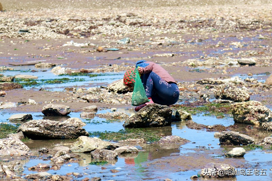 哈仙岛住宿多少钱:哈仙岛在哪里,哈仙岛到底怎么样?