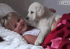 狗子偷偷亲我的第N次,难道不是真爱吗?