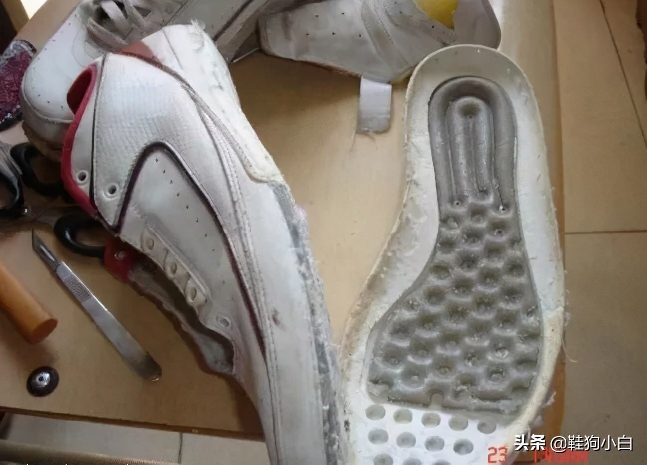 科普向未来知识内容,科普向未来的教学