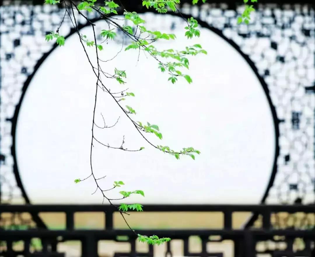 梦参老和尚五台山,梦参老和尚五台山神奇的故事