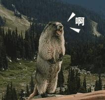 太上头！“冲啊尾款人”凌晨霸榜热搜，有人付完5分钟收到快递