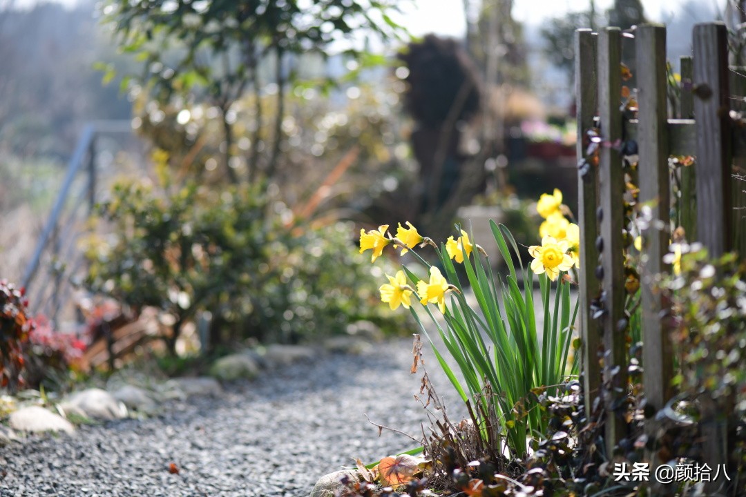 就趁现在，花园最忙碌的季节|园丁