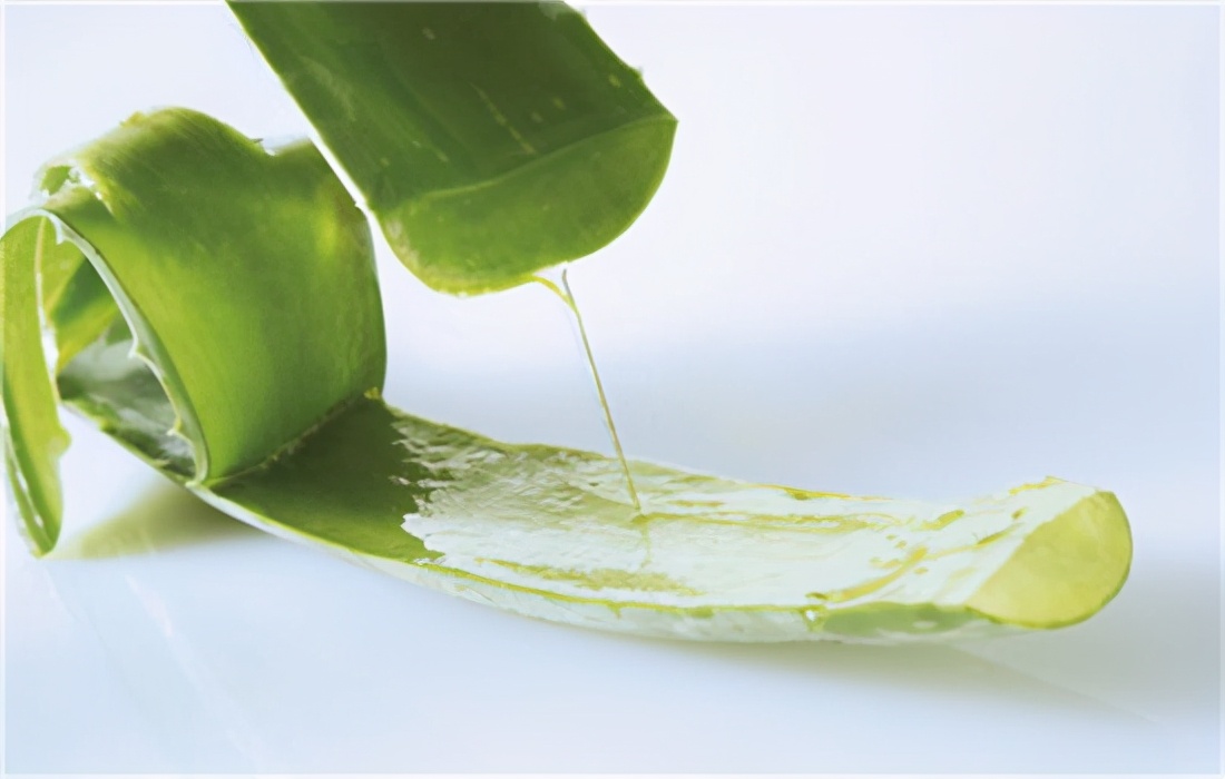芦荟面膜真的可以祛痘淡化痘印吗,芦荟面膜的作用和功效