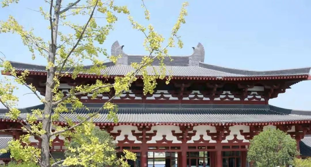 合肥秋季风景打卡地方排行榜,合肥最值得打卡地