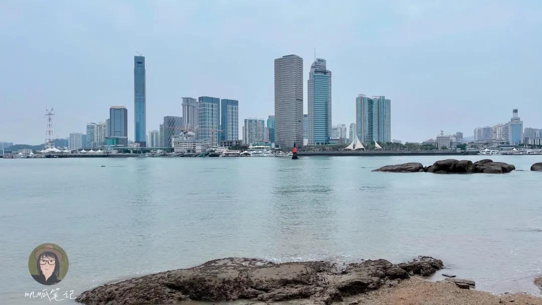 鼓浪屿赶海抓虫,鼓浪屿赶海佛手螺