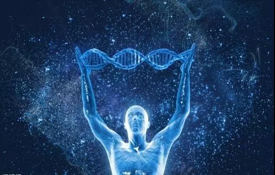 造艺技术,造艺金融界