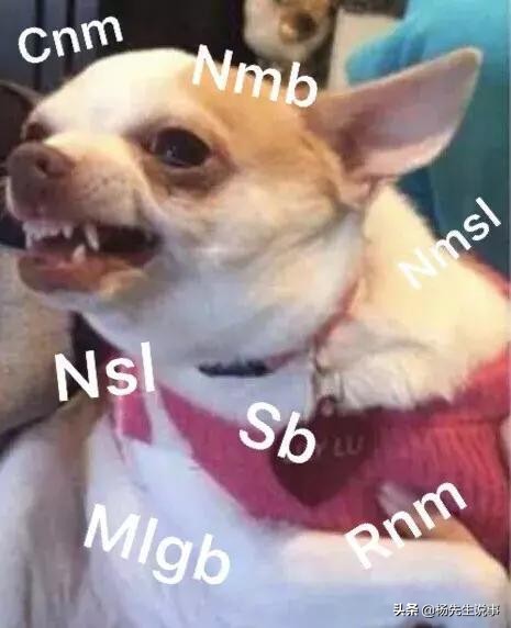 前戏要足，动作要帅，大召唤术