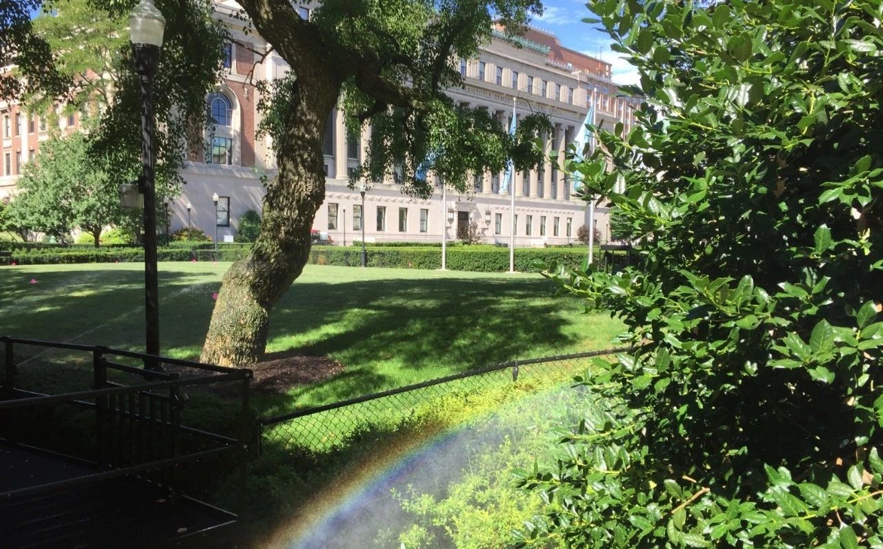 深度解析美国教育,美国教育背后的真相是什么