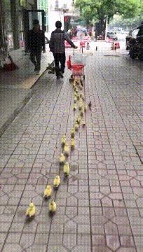 搞笑gif开心一刻原来高手在民间,搞笑gif开心一刻不按常理出牌