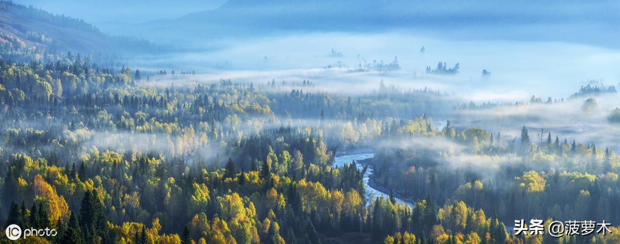 蓬莱到底有多神仙,蓬莱真的有仙吗