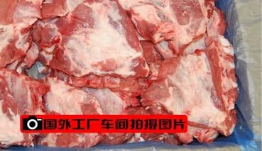 国外猪肉5元1斤,真正白菜价!为啥不多进口一些?看完明白了