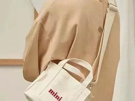 韩国欧尼梨梨的同款包包,韩国包包推荐小众高级感