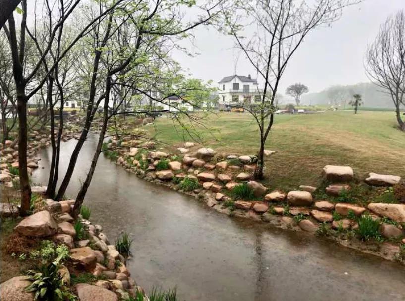 莲花塘乡乡村振兴项目,莲花乡村振兴产业园规划图