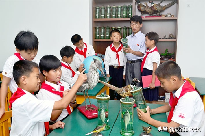 朝鲜足球青训视频,朝鲜足球培训基地