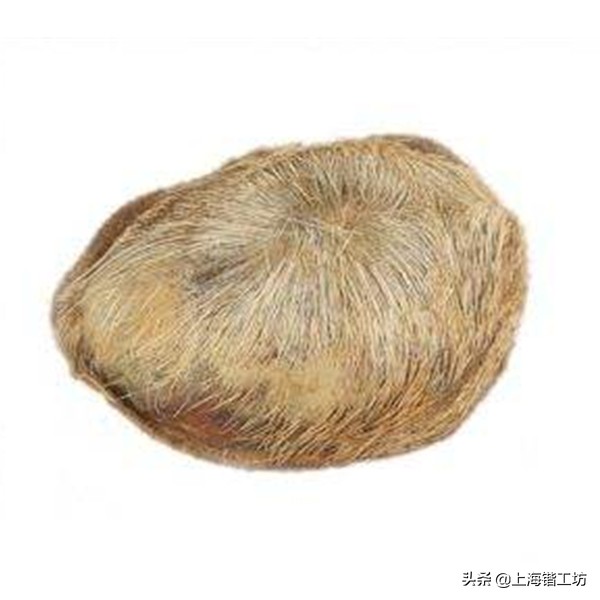 麝香酒为什么能钓鱼效果好,麝香粉和麝香酒哪个钓鱼好